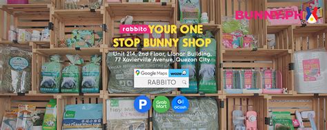bing bunny philippines|About Us – BUNNY PH.
